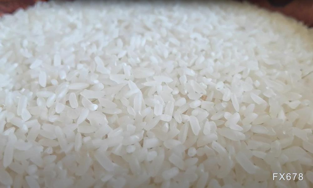 俄乌冲突升级，稻米市场淡定-第1张图片